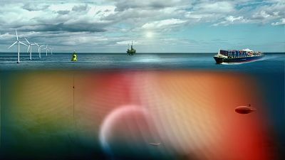 Poluição sonora marinha preocupa classe científica