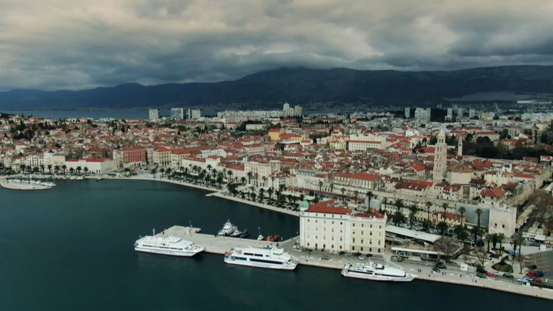 Protecting the sea gives glimmer of hope to fish stocks in the Adriatic