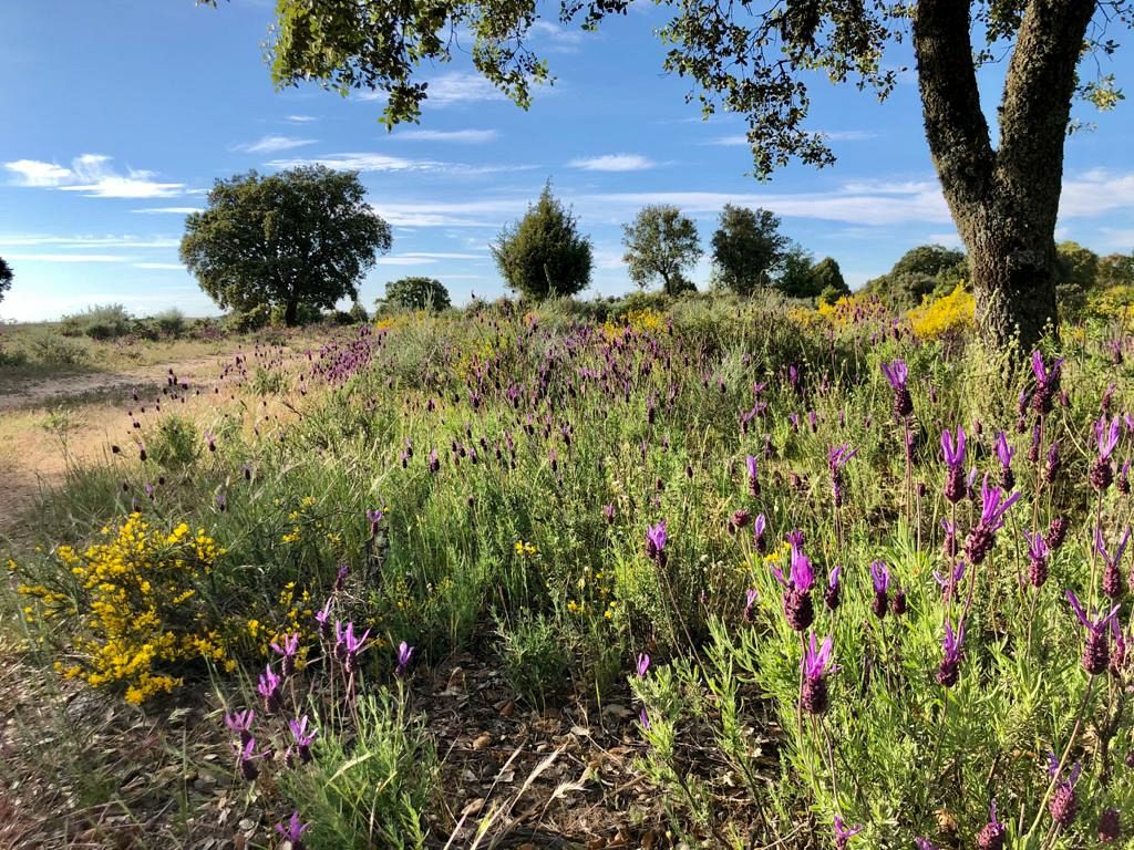 The European initiative helping tourists to discover nature in a sustainable way