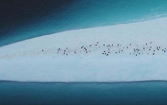 海-南極大陸