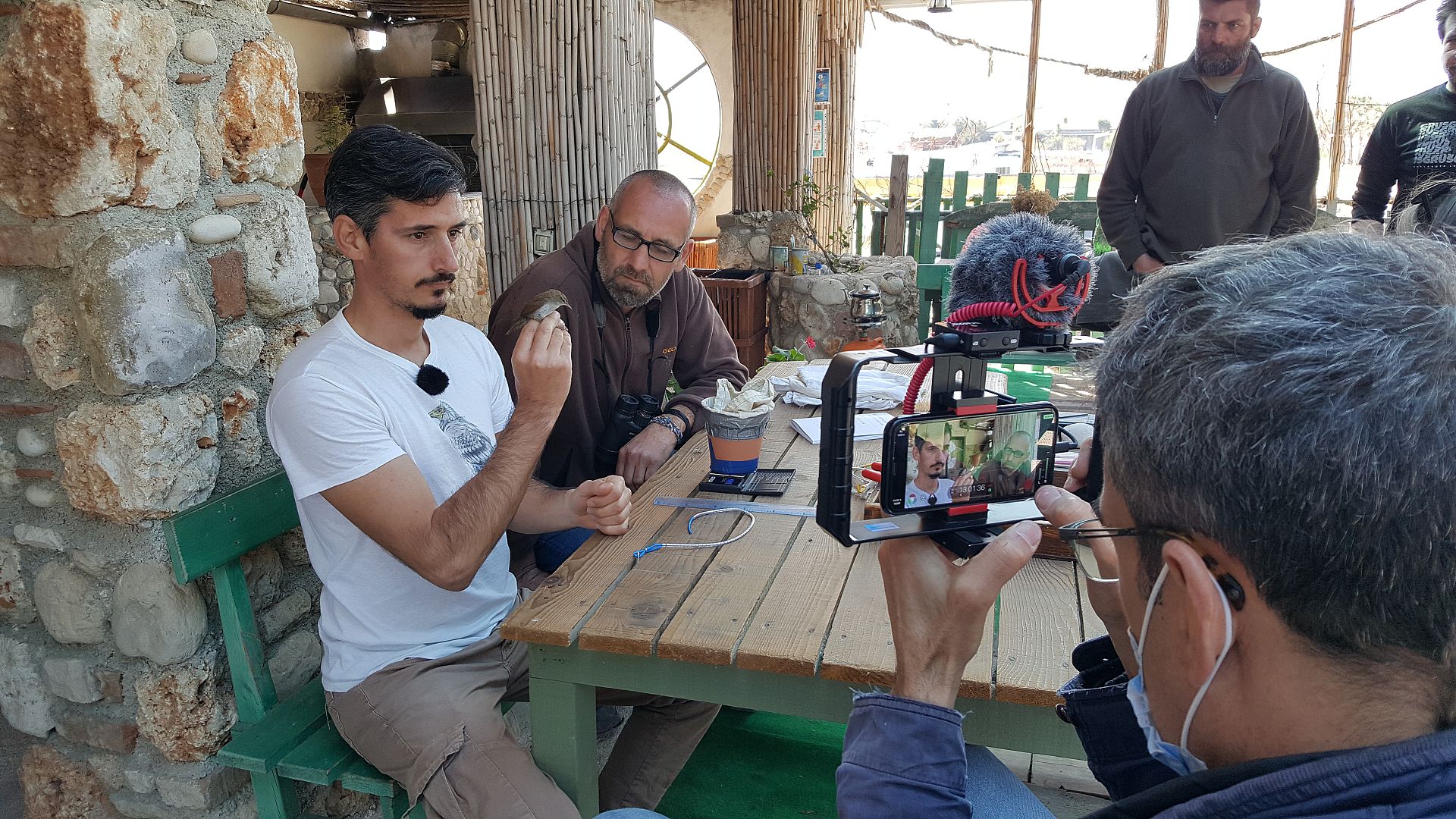 Plans to build an airport in Albania threatens migrating bird flyways