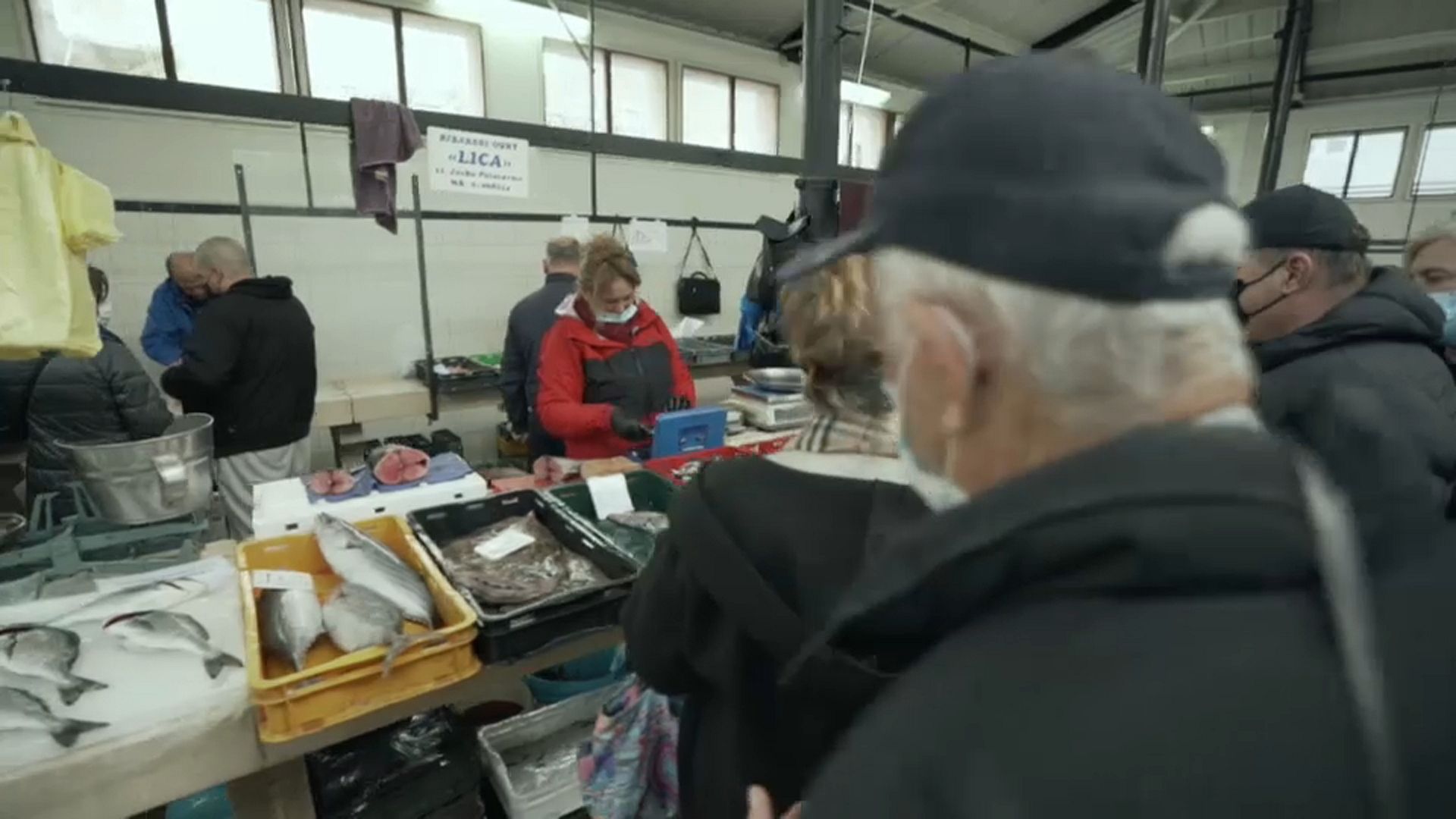 Protecting the sea gives glimmer of hope to fish stocks in the Adriatic