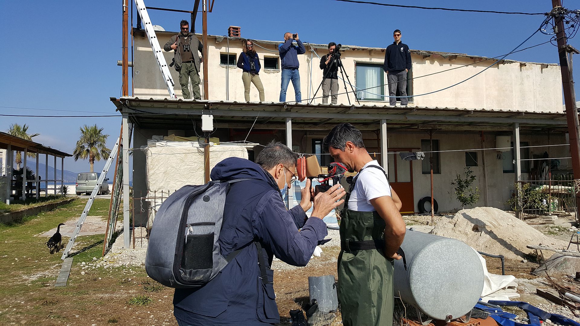 Plans to build an airport in Albania threatens migrating bird flyways