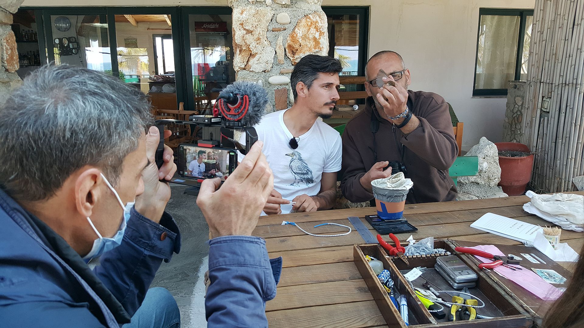 Plans to build an airport in Albania threatens migrating bird flyways