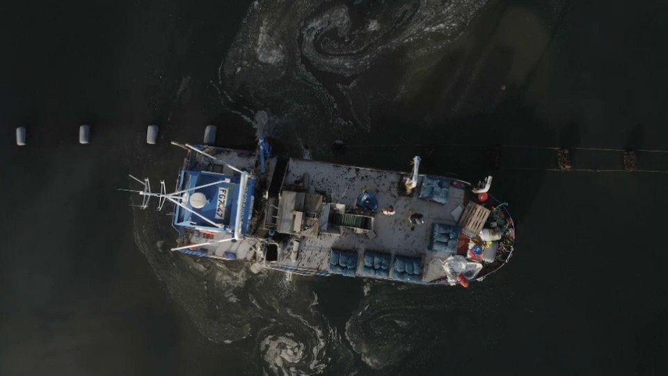 European producers are making pollution-free aquaculture a successful business