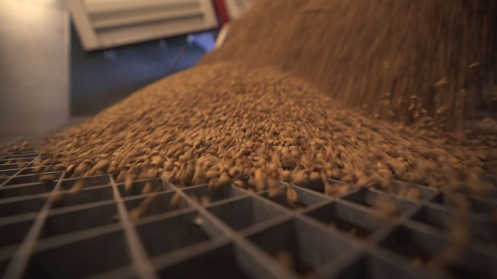 The coffee company embracing tech to brew success