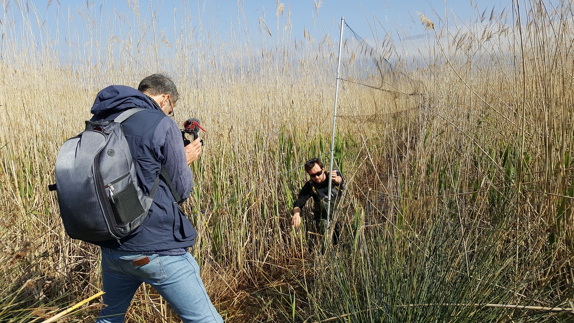 Plans to build an airport in Albania threatens migrating bird flyways