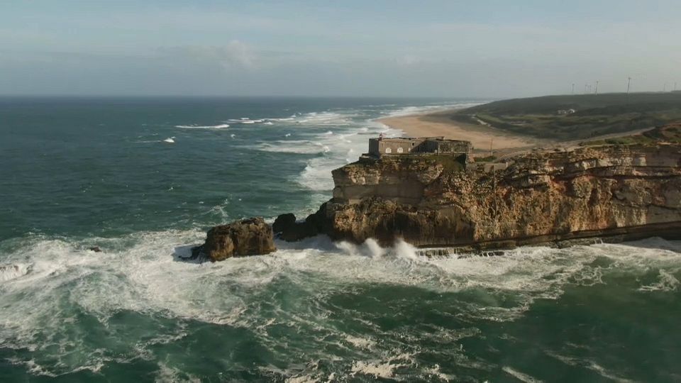 Is microalgae the sustainable food of the future?