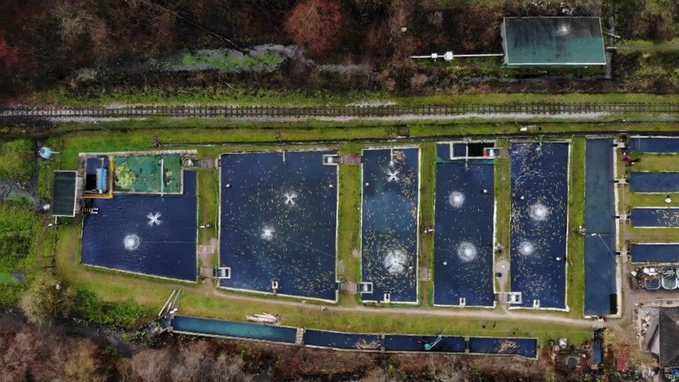 European producers are making pollution-free aquaculture a successful business