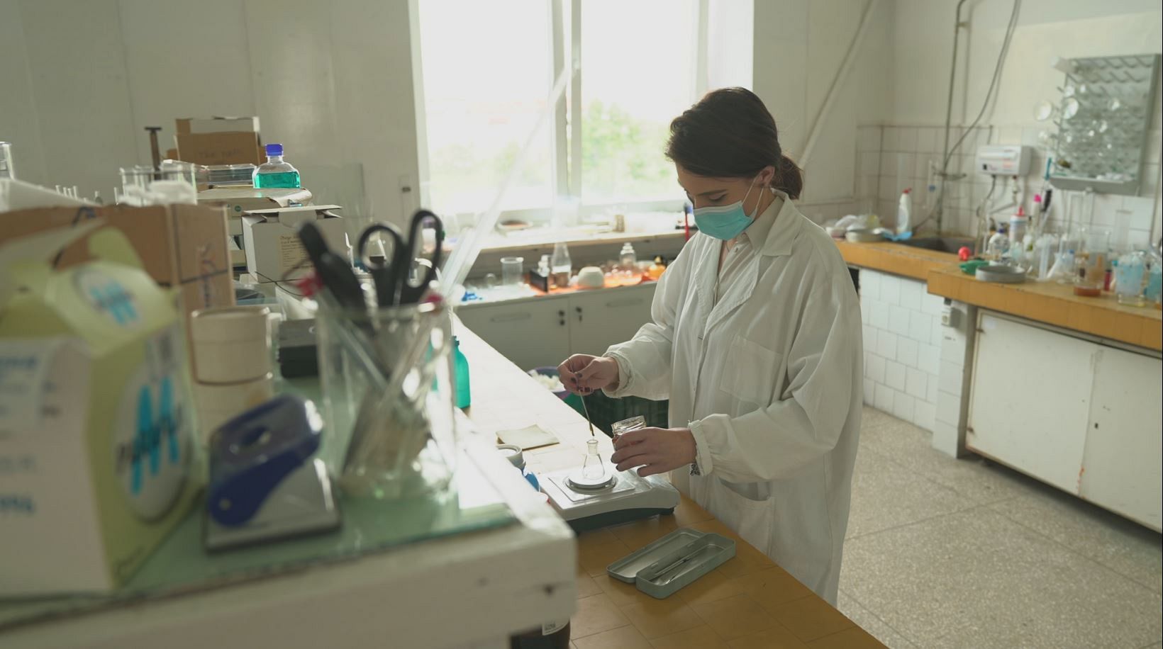 Bees, the workers helping to create a sweet sustainability in Europe