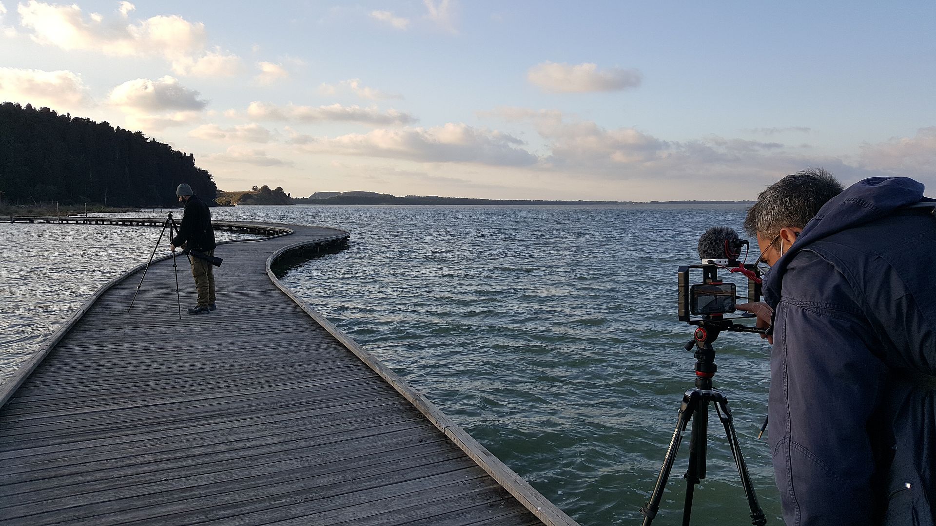 Plans to build an airport in Albania threatens migrating bird flyways