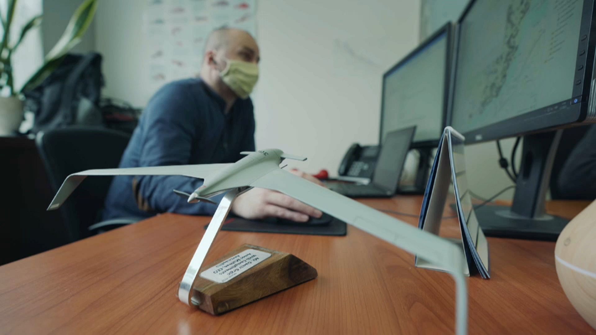 Protecting the sea gives glimmer of hope to fish stocks in the Adriatic