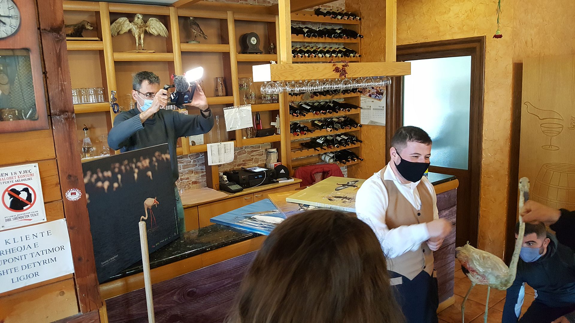 Plans to build an airport in Albania threatens migrating bird flyways