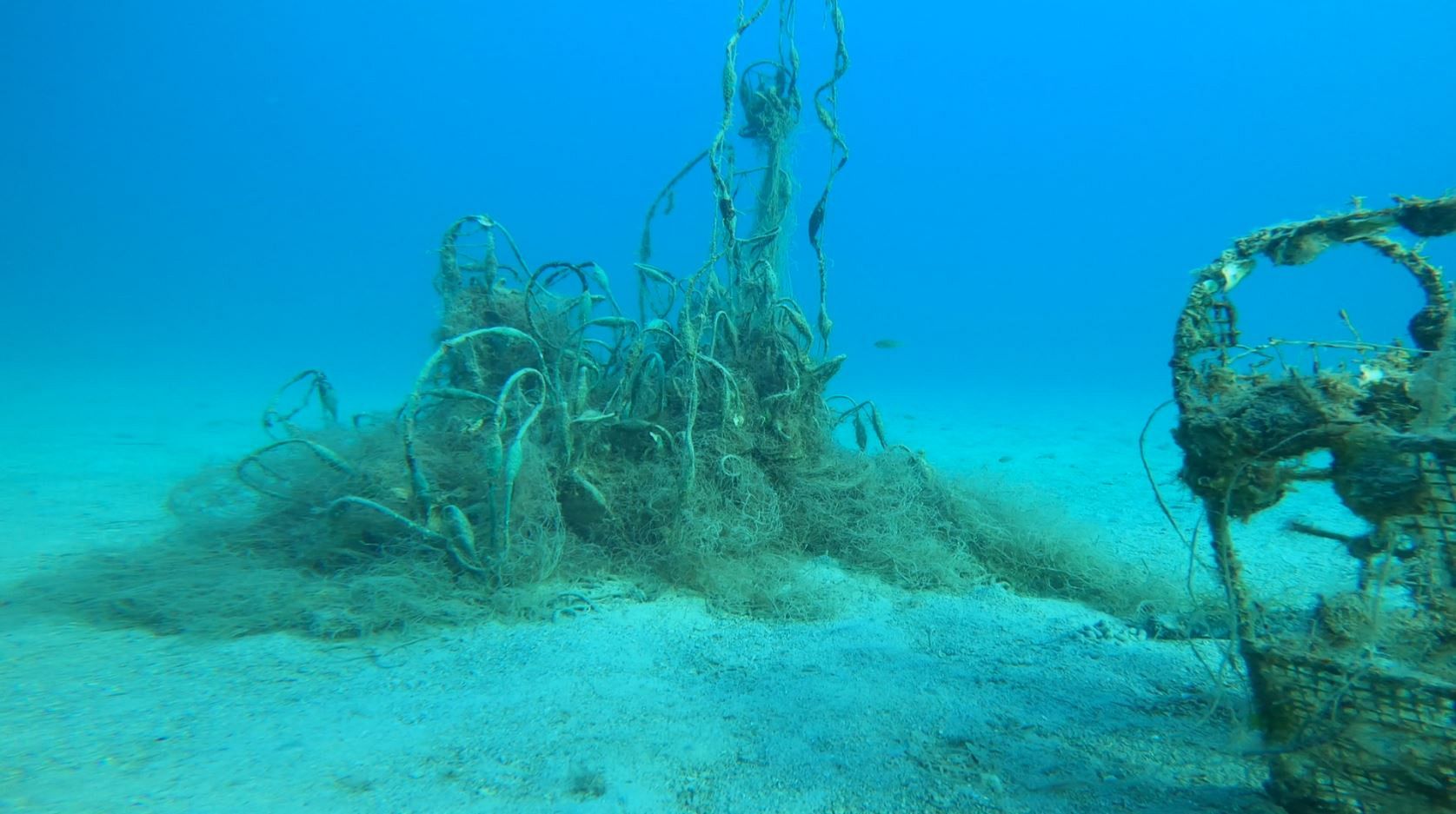 Reducing plastic in fishing and aquaculture: what alternatives to protect our oceans?