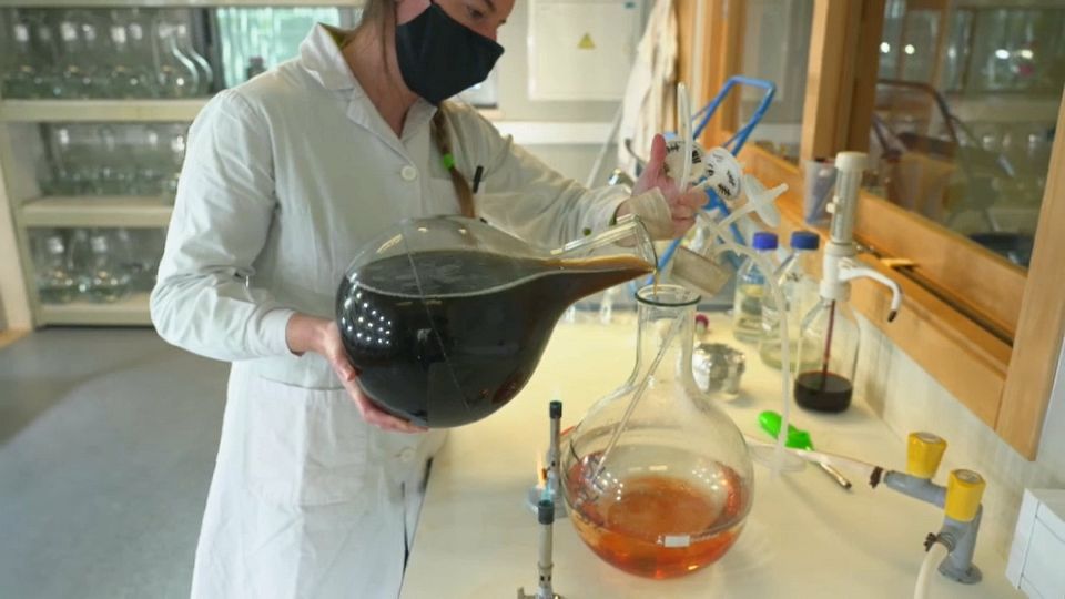 Is microalgae the sustainable food of the future?