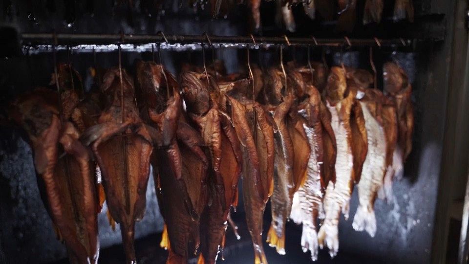 European producers are making pollution-free aquaculture a successful business