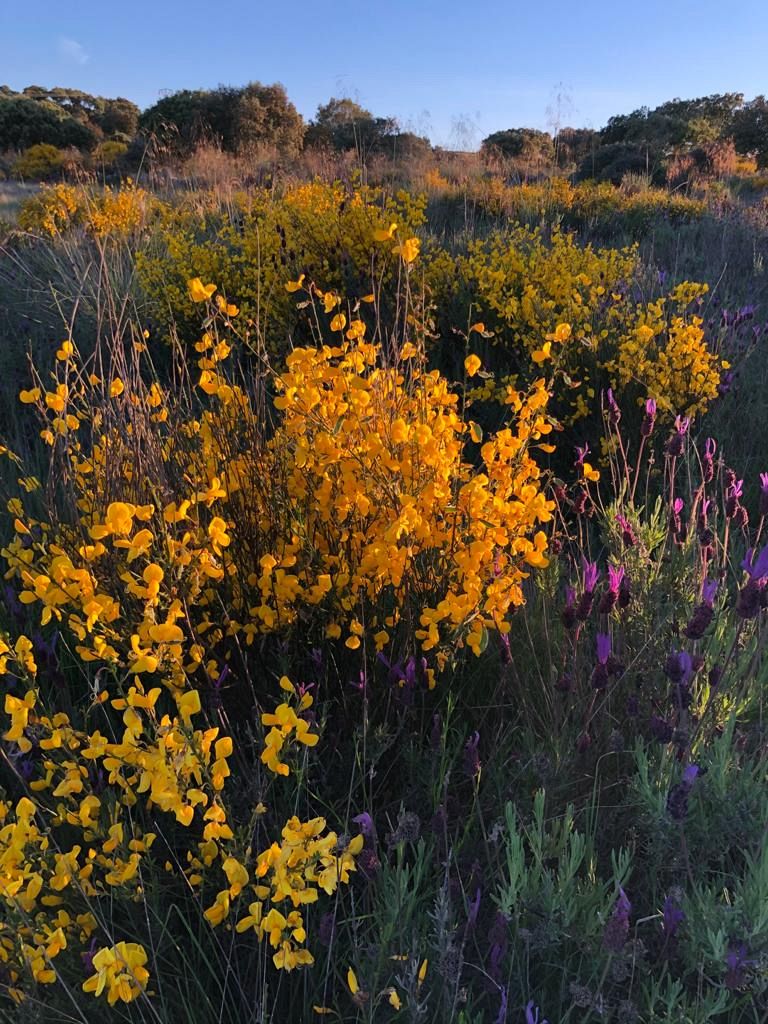 The European initiative helping tourists to discover nature in a sustainable way