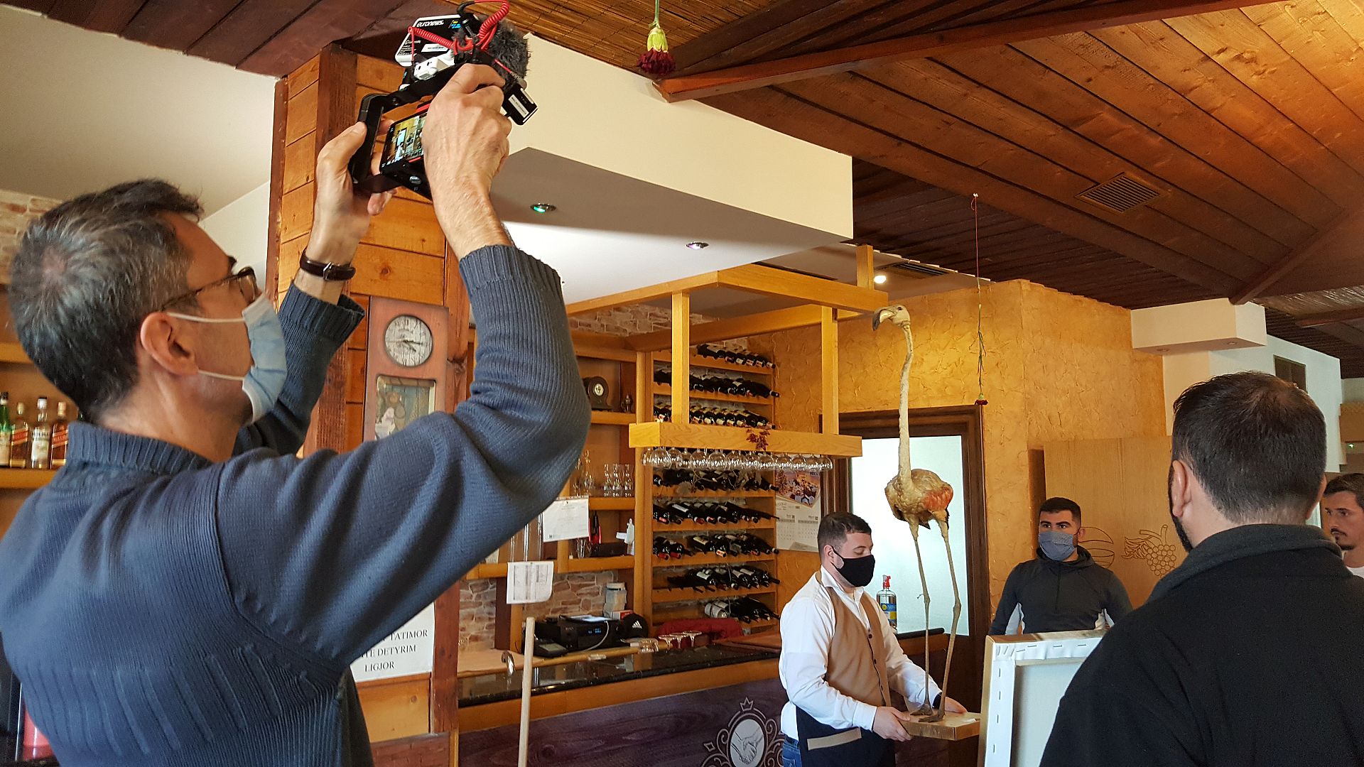 Plans to build an airport in Albania threatens migrating bird flyways