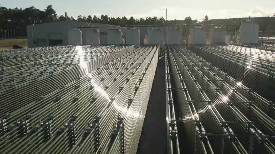 Is microalgae the sustainable food of the future?