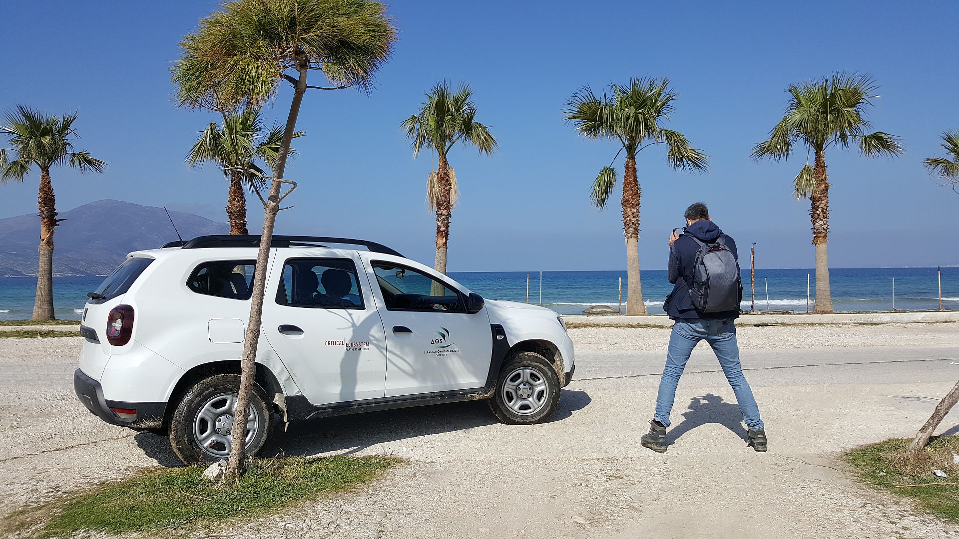 Plans to build an airport in Albania threatens migrating bird flyways