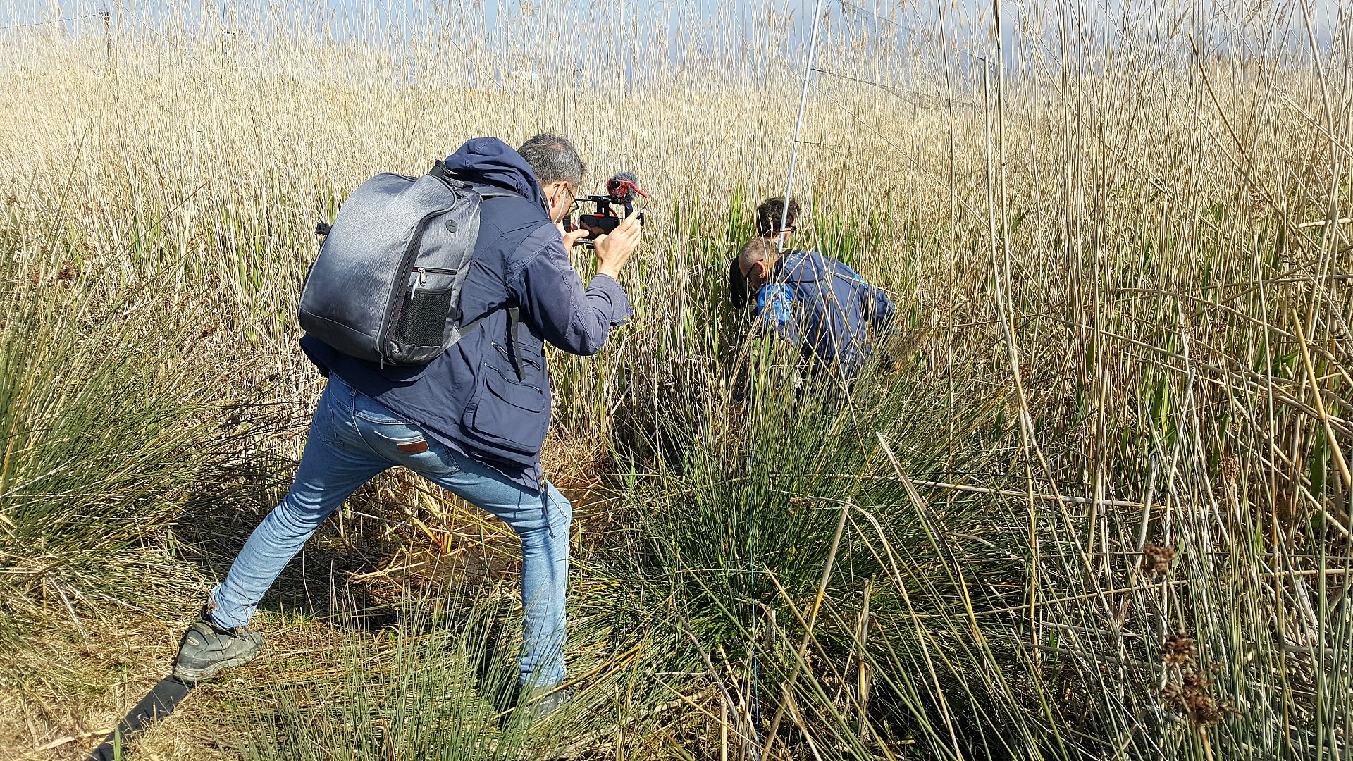 Plans to build an airport in Albania threatens migrating bird flyways