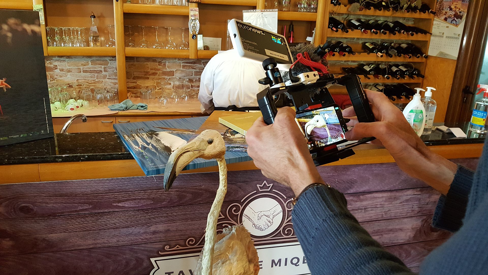 Plans to build an airport in Albania threatens migrating bird flyways