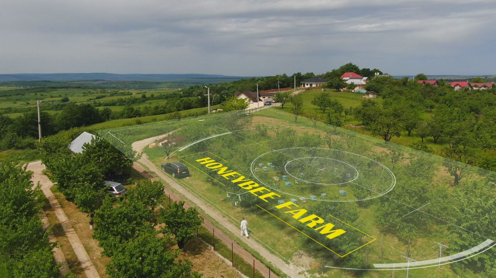 Bees, the workers helping to create a sweet sustainability in Europe