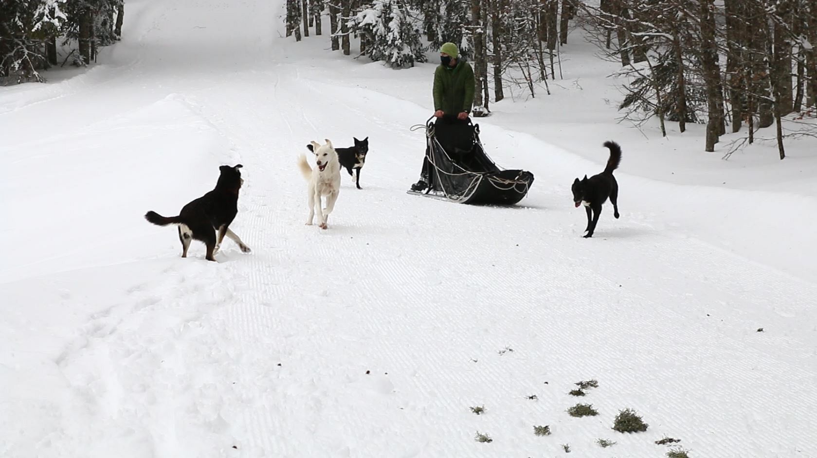 To ski or not to ski? How mountain resorts are using climate data to adapt