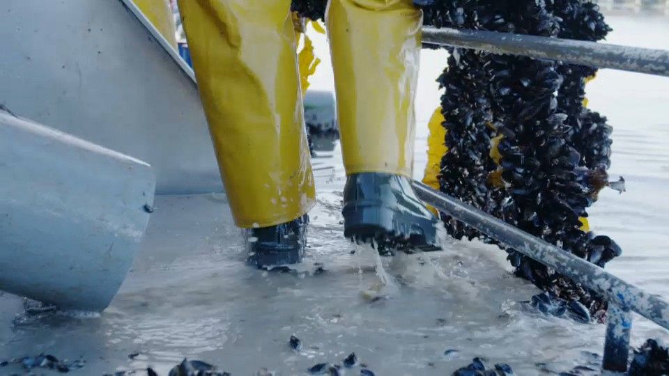 European producers are making pollution-free aquaculture a successful business