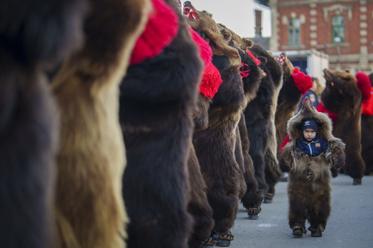 A child member of a traditional bear pack takes part in a parade on the main street before performing in a festival in Moinesti, northern Romania, Wednesday, Dec. 27, 2023.