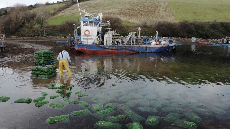 European producers are making pollution-free aquaculture a successful business