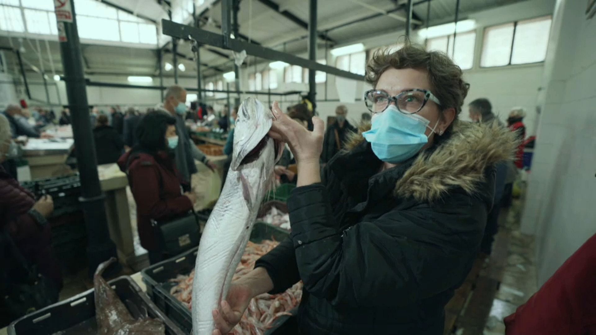 Protecting the sea gives glimmer of hope to fish stocks in the Adriatic