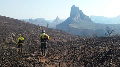 Fire fighters walk in the burned region of Robore where wildfires have destroyed hectares of forest in Bolivia, August 19, 2019.