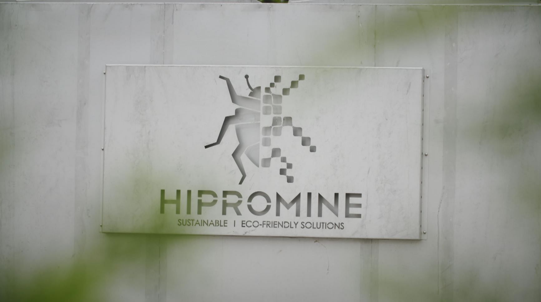 Fish and poultry try a new sustainable diet of larvae and insects