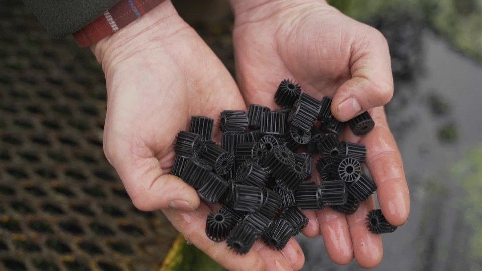 European producers are making pollution-free aquaculture a successful business