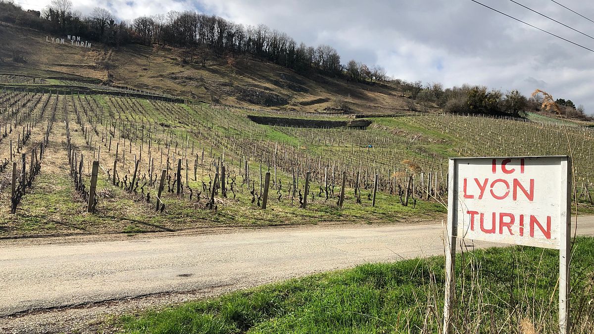 The high-speed railway will pass through this vineyard in Chapairellan