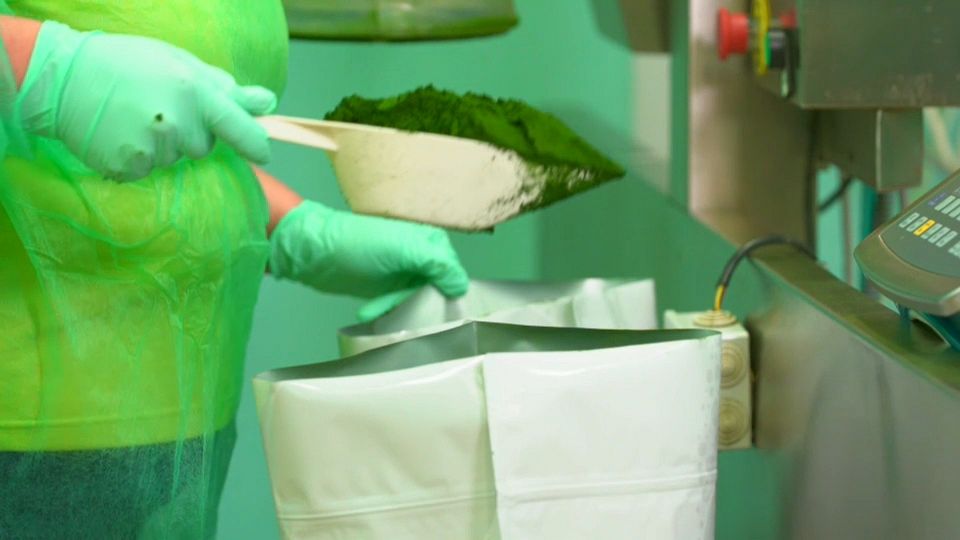 Is microalgae the sustainable food of the future?