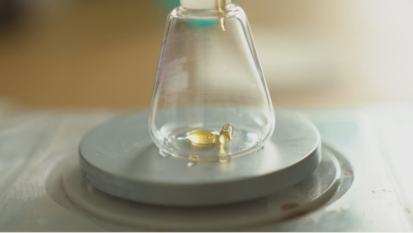 Bees, the workers helping to create a sweet sustainability in Europe