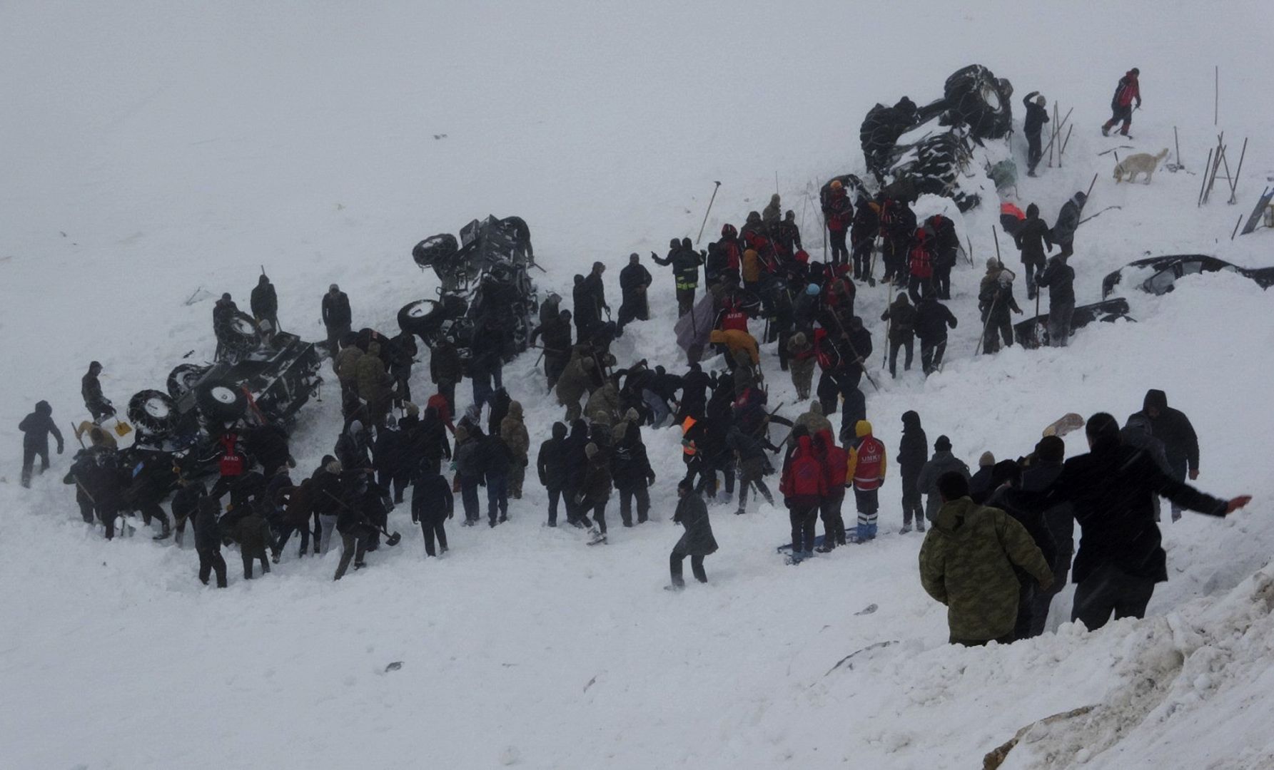 Number of dead rises from Turkey double avalanche disaster | Euronews