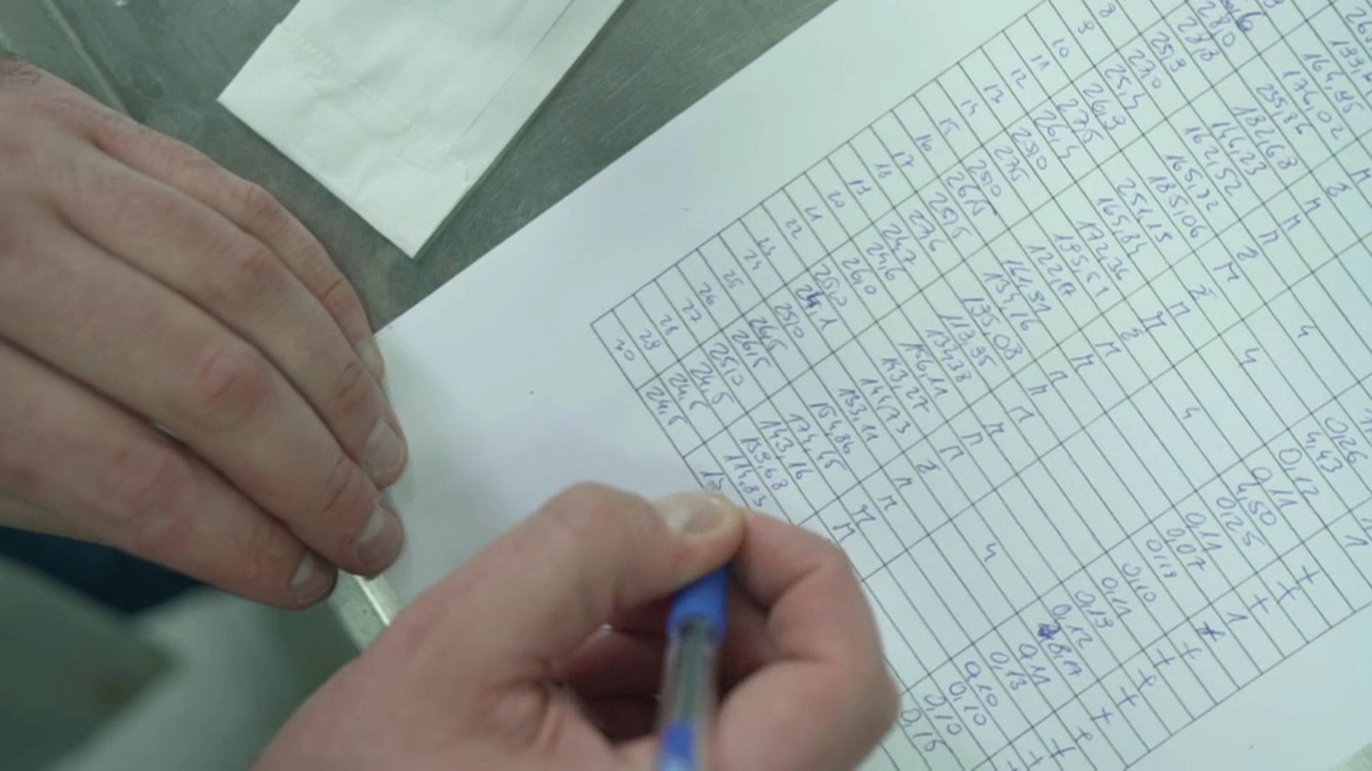 Protecting the sea gives glimmer of hope to fish stocks in the Adriatic