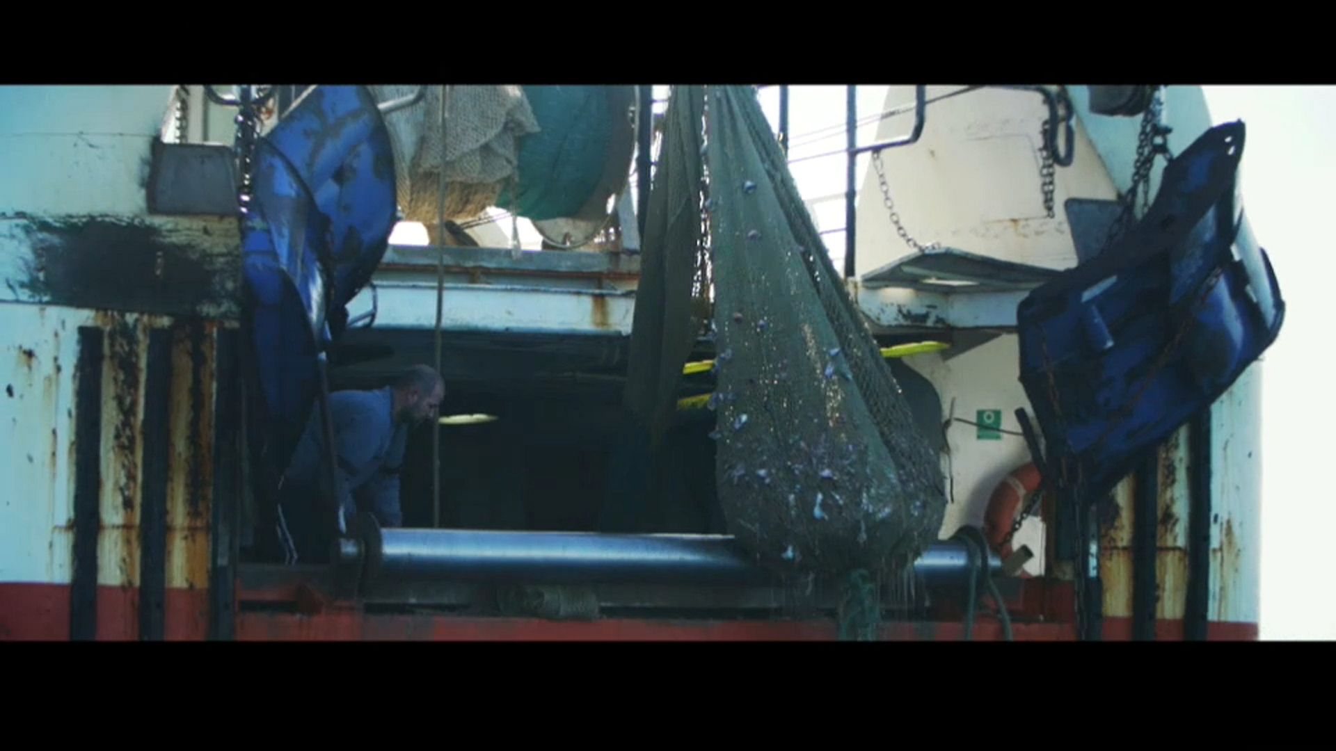 Protecting the sea gives glimmer of hope to fish stocks in the Adriatic