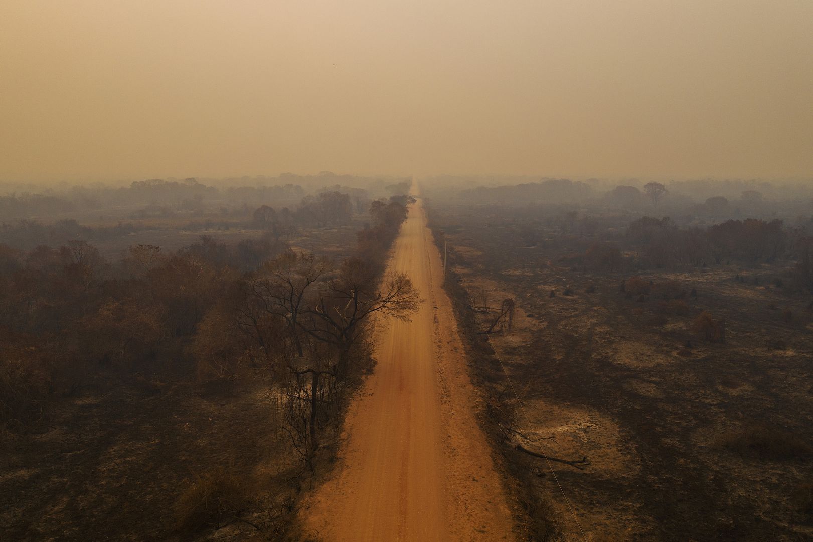 World Press Photo: Image of Brazil nursing home hug wins 2021 award