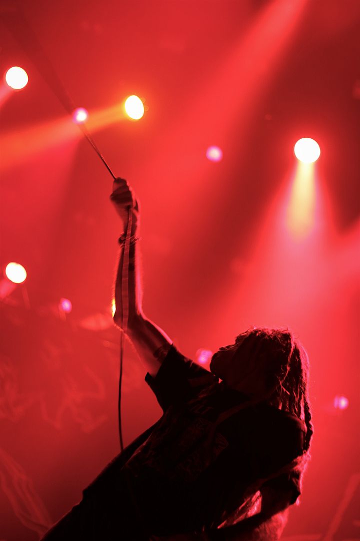 Lamb of God