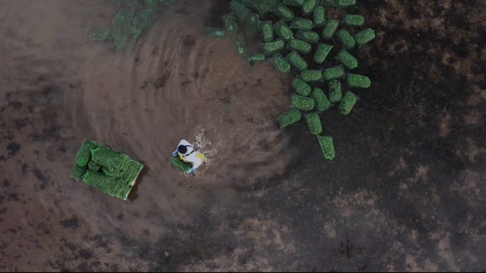 European producers are making pollution-free aquaculture a successful business