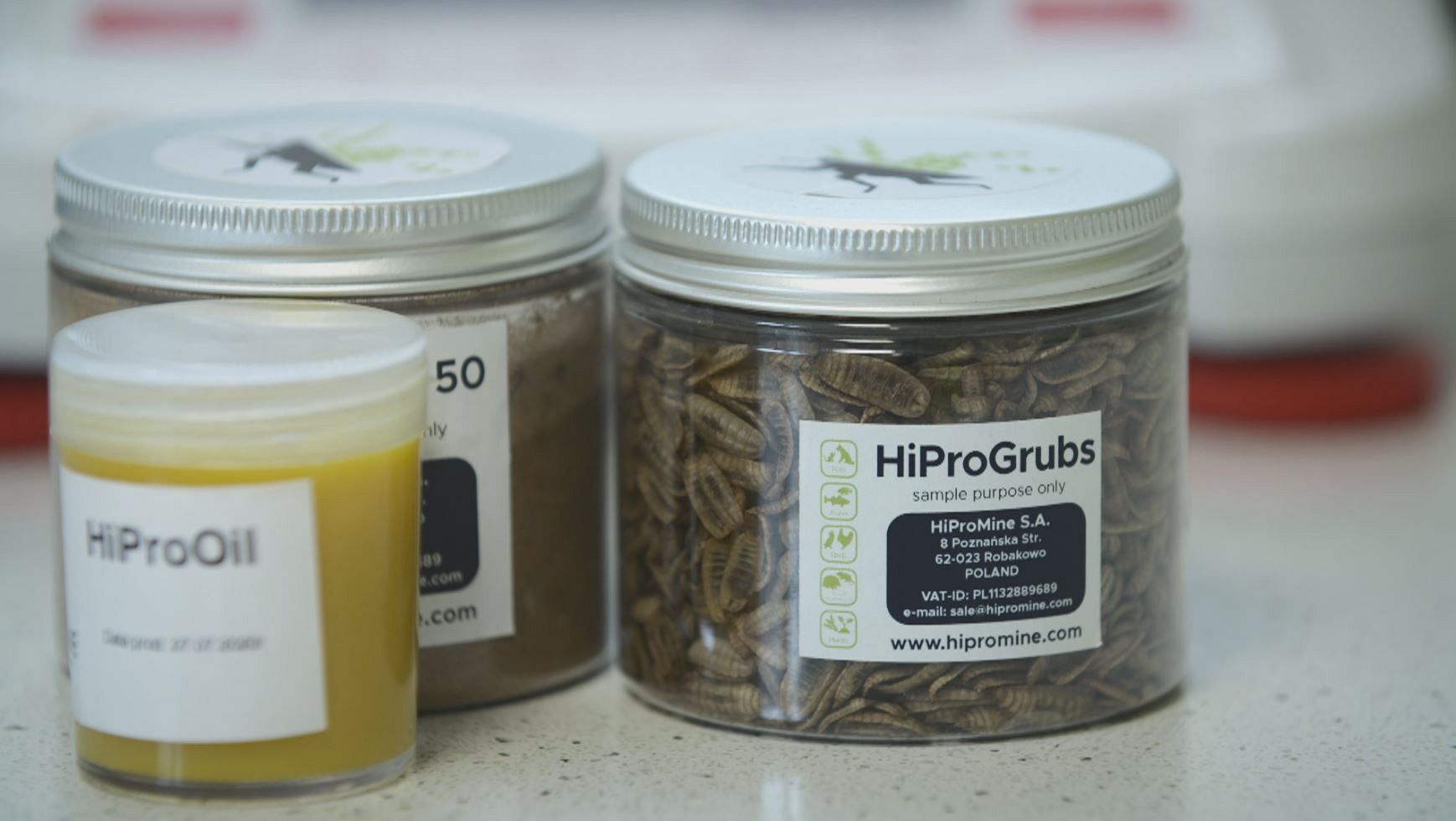 Fish and poultry try a new sustainable diet of larvae and insects