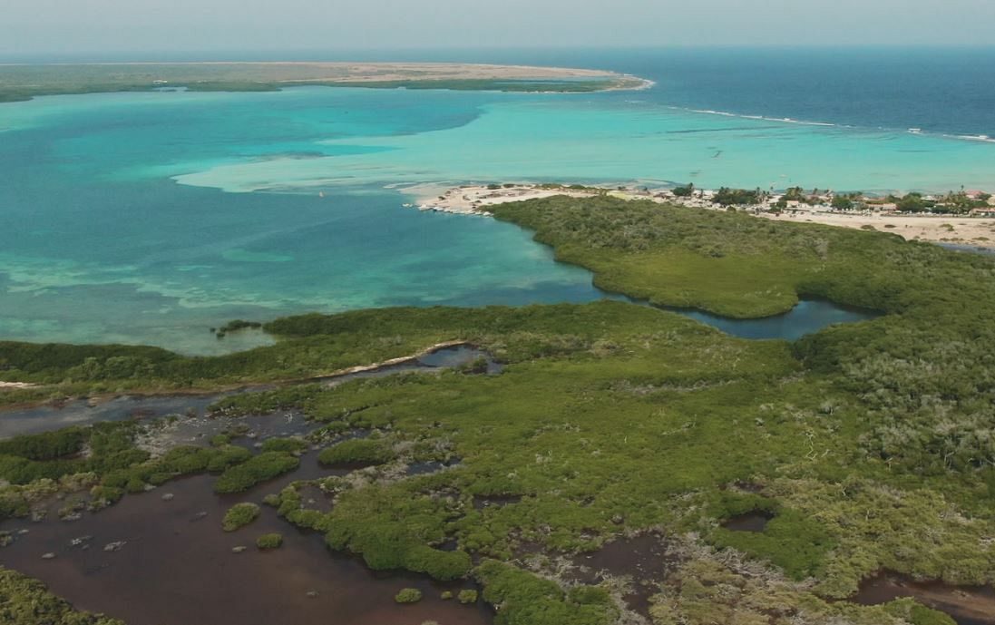 Ocean - Coral reefs