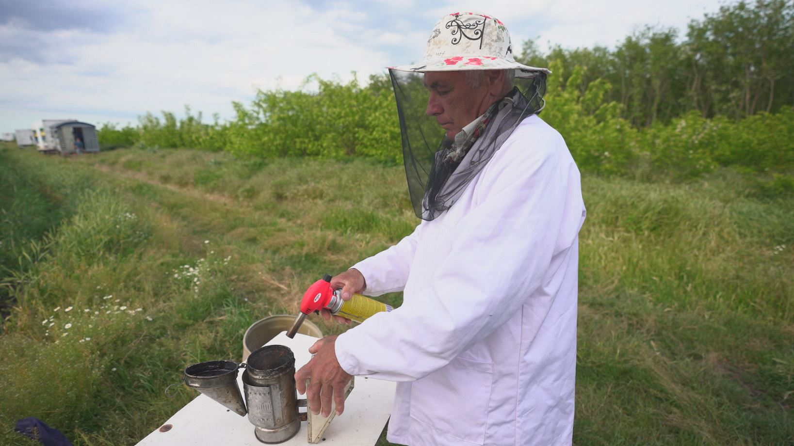 Bees, the workers helping to create a sweet sustainability in Europe