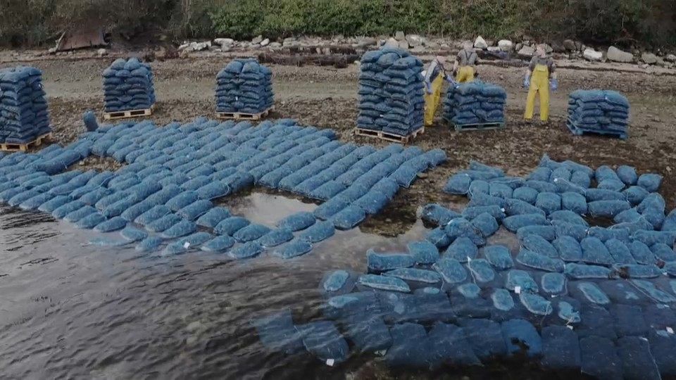 European producers are making pollution-free aquaculture a successful business