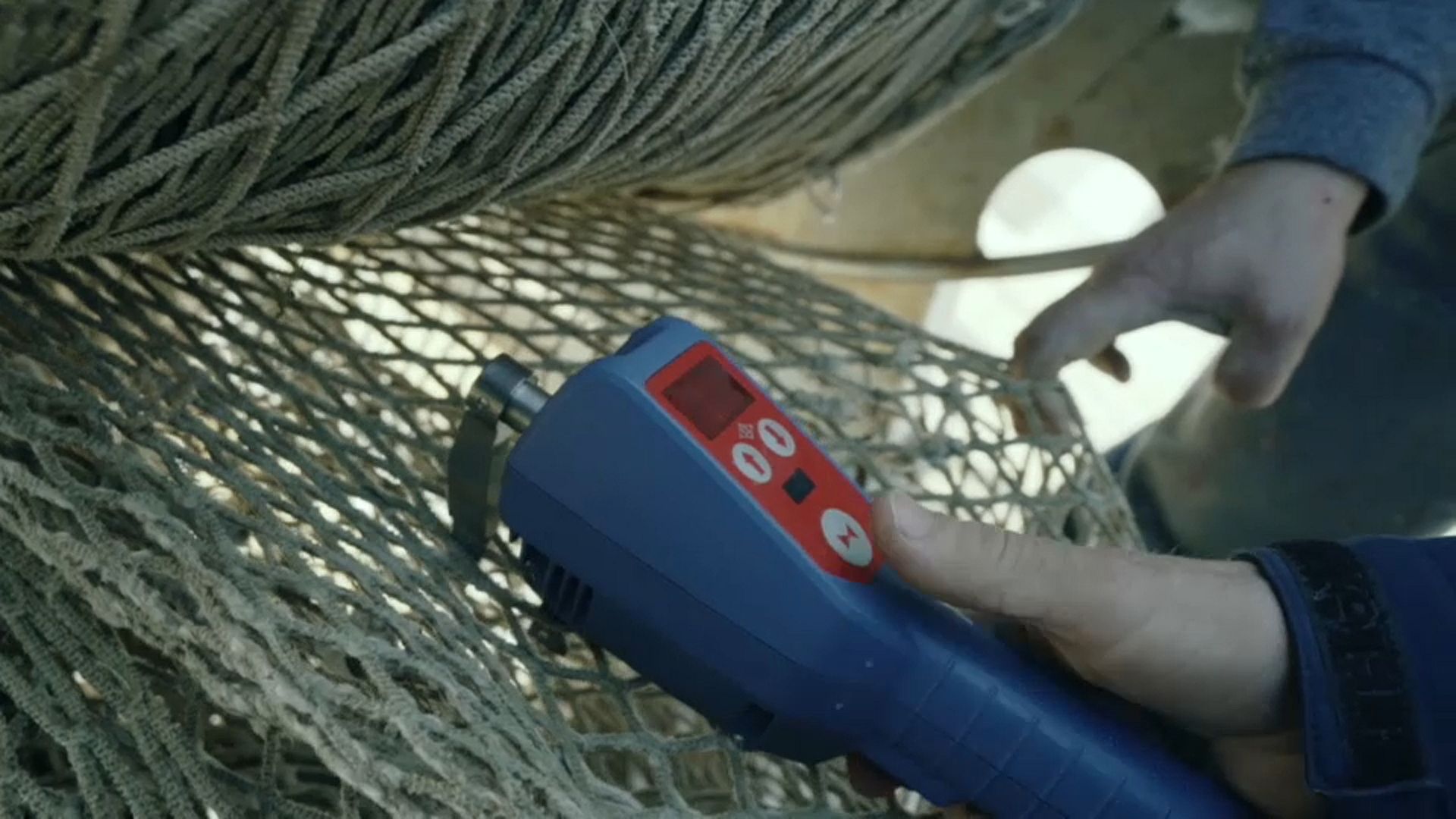 Protecting the sea gives glimmer of hope to fish stocks in the Adriatic