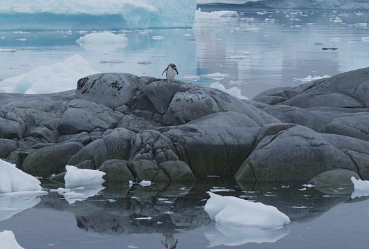Ocean - Antarktyda